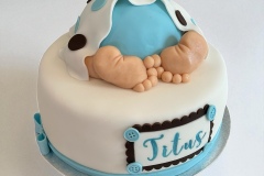 Titus-babyshower