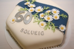 Solveig 60 HR1